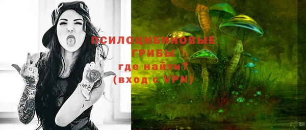 прущая мука Кулебаки
