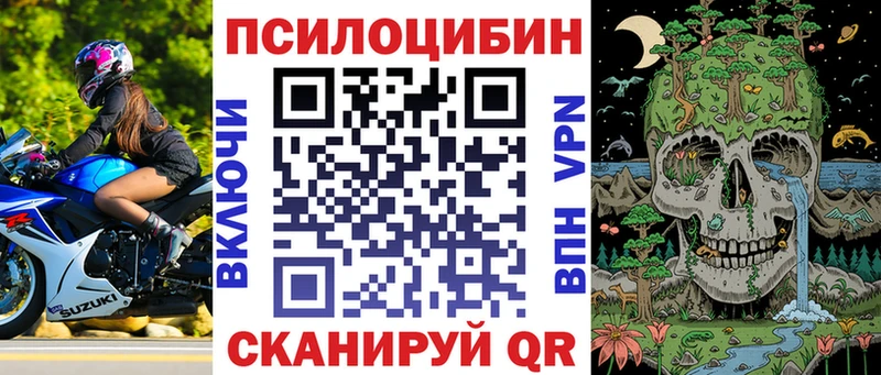 Псилоцибиновые грибы Magic Shrooms  закладки  Ряжск 